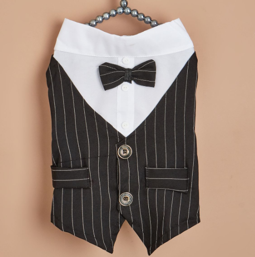 Stylish Canine Shirt Suit