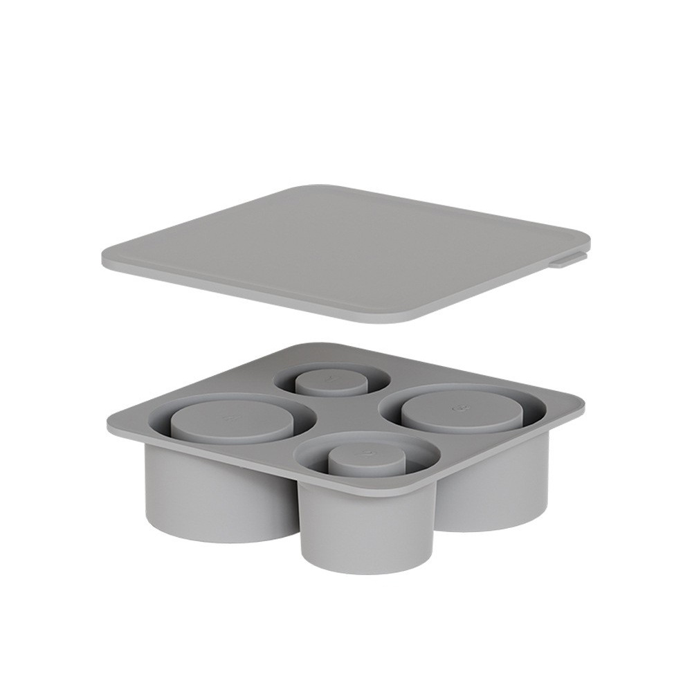 Whiskey Ice Cube Mold