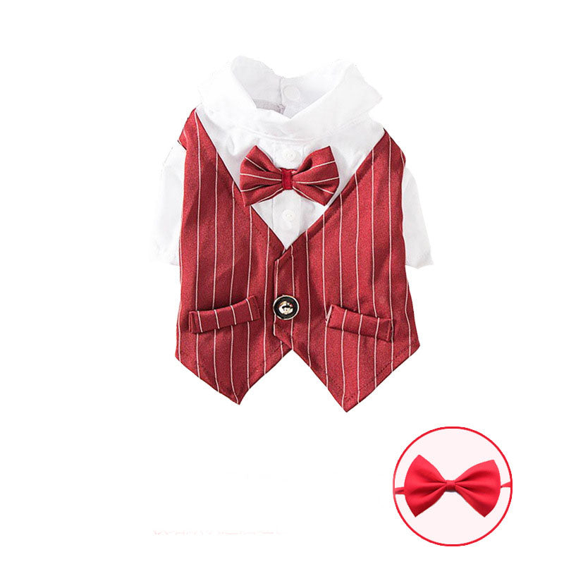 Stylish Canine Shirt Suit