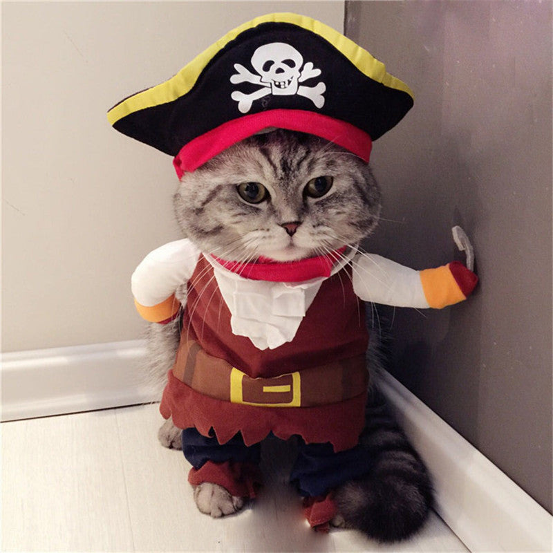 Teddy Pirate Costume for Pets
