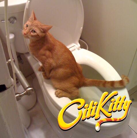 Cat Toilet Training Kit