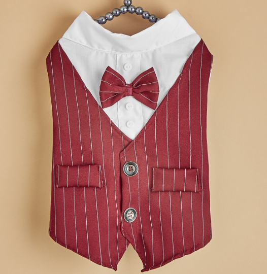 Stylish Canine Shirt Suit