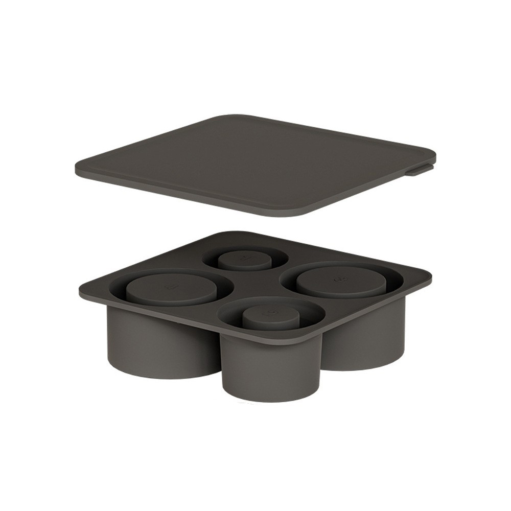 Whiskey Ice Cube Mold