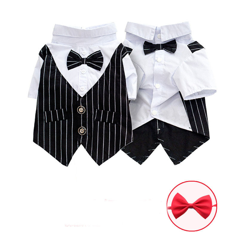 Stylish Canine Shirt Suit