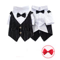 Stylish Canine Shirt Suit