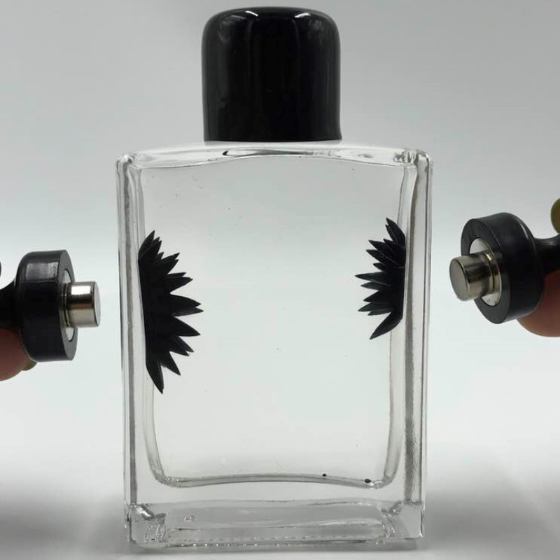 Ferrofluid Desk Toy