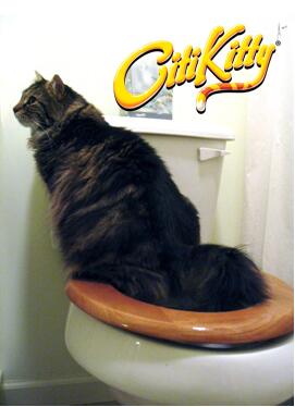 Cat Toilet Training Kit