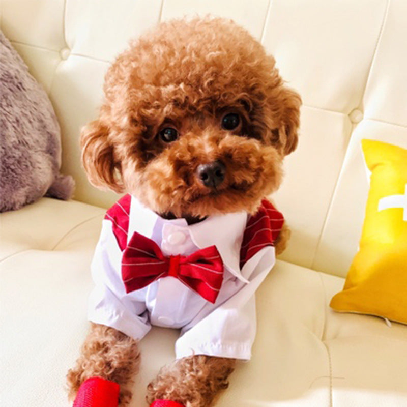 Stylish Canine Shirt Suit