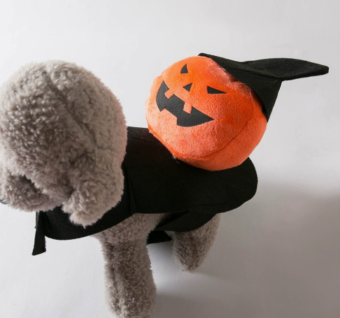 Pumpkin Pet Costume