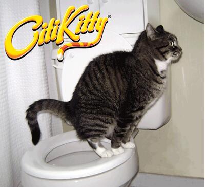 Cat Toilet Training Kit