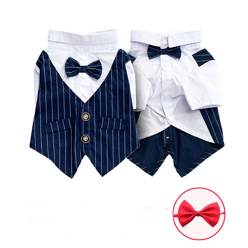 Stylish Canine Shirt Suit