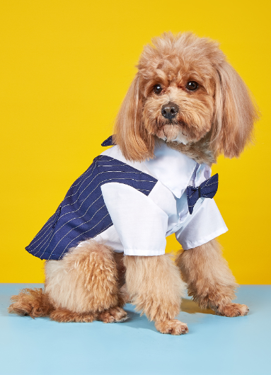 Stylish Canine Shirt Suit